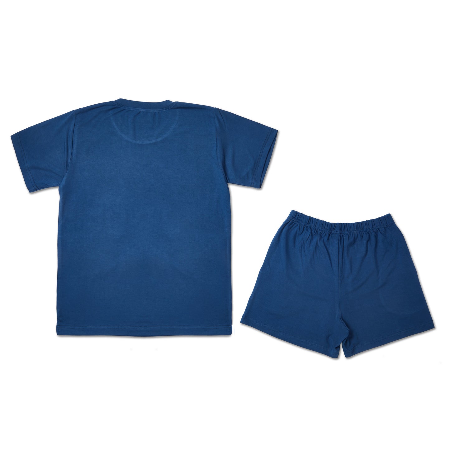 Family Blue Girls T-shirt and Shorts set