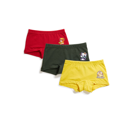 Cocoknut Girls Boyshorts (Pack of 3)