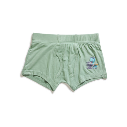 Cute Combo Boys Trunks (Pack of 3)