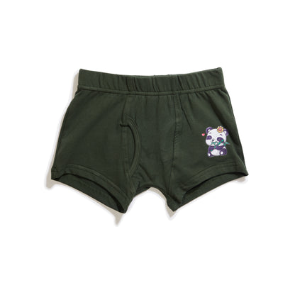 Boys Super Dino Boys Trunks (Pack of 3)